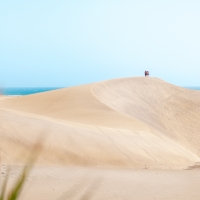 Dunas
