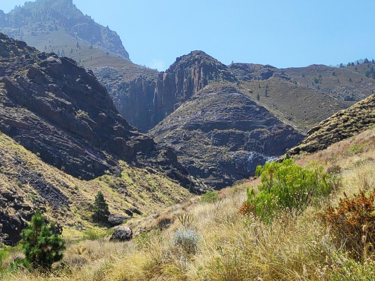 Destinos naturales que vale la pena visitar en Gran Canaria